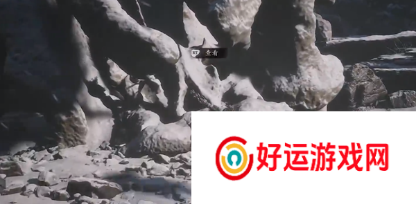 黑神话悟空龟泪在哪
