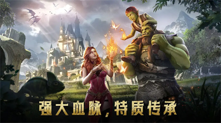 传承利萨斯英雄 v0.2.9.1