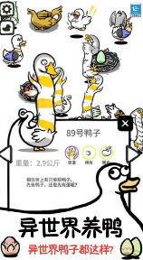 鸭了个鸭v1.1.4