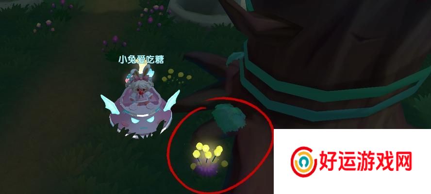摩尔庄园萤火草获取最佳途径？