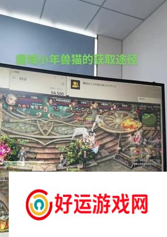 魔域中打猫副本的进入方式是什么？需要什么条件？