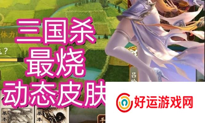 试玩皮肤在三国杀中如何使用？试玩皮肤有哪些独特功能？